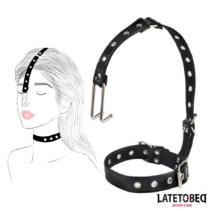 Collar with Nose Hook